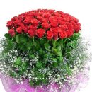 테리비어 이미지