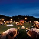 인성2농장 이미지