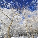 해돋이공원(관리사무소) 이미지