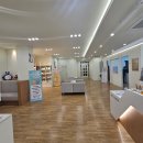 스위스동물병원 이미지