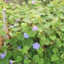 (주)그레이게임즈 | 종강까지 D-78