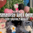 펫바비 | 조명까지 완벽한 가평 애견펜션 바비애견풀빌라에서 댕댕이와 즐기는 파티 여행