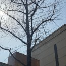 (주)팬택 | 3월 일상 끄적끄적(3)