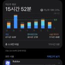 초록의 동의어