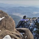 황매산군립공원 이미지