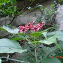 노을이야기 이미지