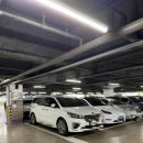 디저트공장 138 | 할리스커피 춘식이 땅콩 크림라떼/딸기 말차 롤라운드 칼로리 후기(춘식이 텀블러 가격 등)