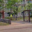 덕풍남로 Daum카페