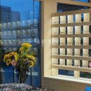 새빛안경 이미지