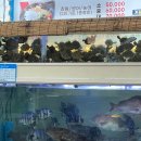 청해막썰이횟집 | 거제 청해막썰이횟집 현지인 맛집 _ 내돈내산 후기