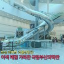 부산 이색 체험 아이와 실내 가볼만한곳 국립부산과학관 다이나믹슬라이드