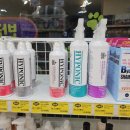 남양주 애견샵 이미지