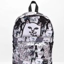 패밀리트리(family tree) 이미지