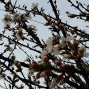 선희농장 이미지