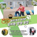 블리스독 이미지