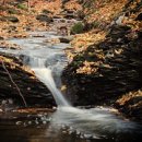 이대로행정사 이미지