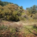 남산초등학교 서천분교장 이미지