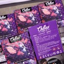 네오엑스 | 담배 칠렉스 매장] &#34;칠렉스 네오 엑스 스페셜 에디션&#34; 전제품 실사용 후기 및 정리 (딸기 쉐이크...