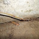 안골자동차정비센타 이미지