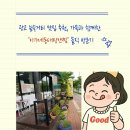 수지동태탕 | 광교 숲속거리 맛집 추천 | 가족과 함께한 이가네동태탕앤찜 방문기