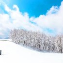 대관령밧데리 이미지