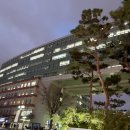 보드게임 타고 그림책 여행 | 내가 20살이 된다니 - 12월 결산