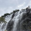 충청산업 주식회사 | [라운딩 후기] 5월의 햇살 아래 펼쳐진 팔색조 매력, 충북 충주 '시그너스 CC' 라운딩