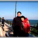 민호카센타 이미지