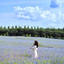 상몽농장 이미지