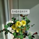루테로 - 남구 월평로129번길 18 | 루테로