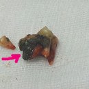 애경동물병원 이미지