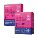 와이오엔 이미지