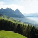 관절천국 이미지