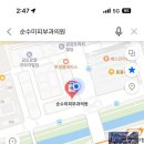 순수안피부과의원 이미지