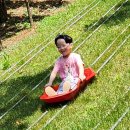 성곡예일어린이집 이미지