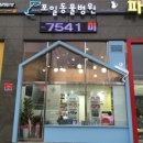 포일동물병원 이미지