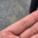 프레드피자 대전유성점 이미지