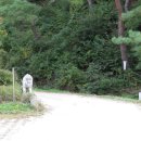 무릉도원면-39 이미지