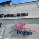포레스트동물의료센터 이미지