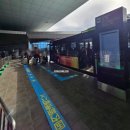 신사상가 | 텐진에서 든든하게 조식 &amp; 텐진 지하상가 &amp; 스미요시 신사 &amp; 하카타역 카레 맛집 나일 하카타 &amp; 귀국