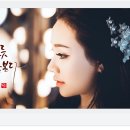 꽃을보듯