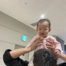 베니플 | 237, 완모 7개월 실제 들어간 비용 전부 공개, 모유수유 추천템, 용인 임장 후기, 코엑스 아쿠아리움 방문