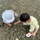 솔섬오토캠핑장 이미지