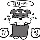 스시유이 - 안양시 동안구 경수대로544번길 23 | 스시유이