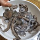 서해박속낙지전문점 이미지