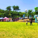 고령 멜빙축제 이미지