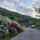 천태산 오토캠핑장 이미지