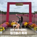 진해구 ⓒ-45 | 포천 허브아일랜드 핑크뮬리 축제 일정 개화현황 주차(10/17 방문) 경기도 가볼만한곳