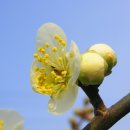 오늘의 선물 이미지