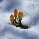 그리고 봄 이미지